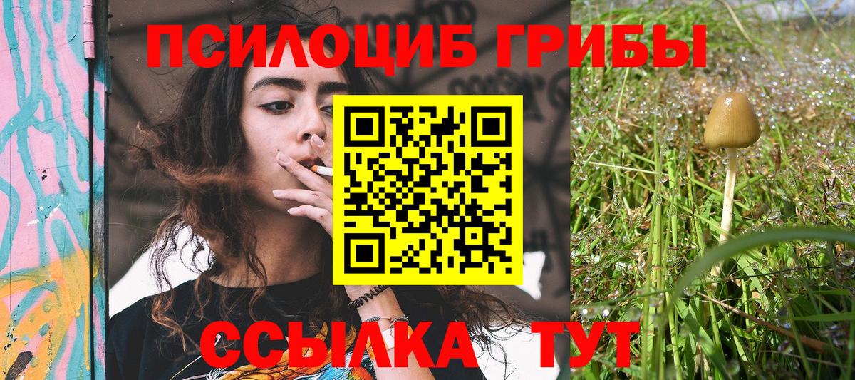 Псилоцибиновые грибы Psilocybine cubensis  Галлюциногенные грибы прущие грибы  Вход с VPN  Керчь 