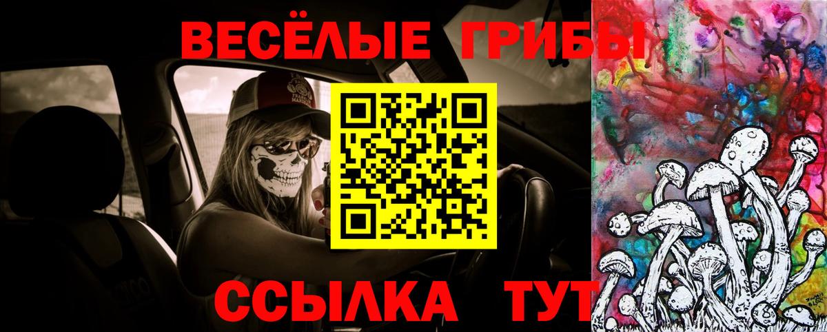 Галлюциногенные грибы Psilocybine cubensis Керчь